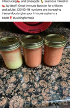 Load image into Gallery viewer, Seamoss  16oz